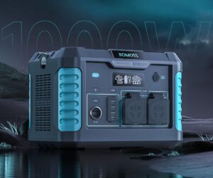 Портативный источник питания (зарядное устройство) Romoss RS1000 1