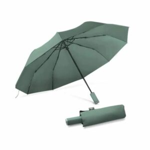 Зонт Xiaomi Mi Zuodu Umbrella Smart LedLight Green 1