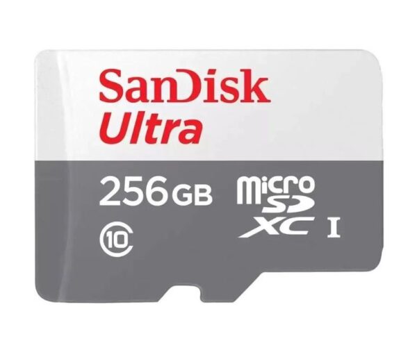 Карта памяти Micro  SanDisk Ultra 256Gb без адаптера 1