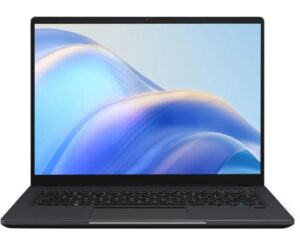 Ноутбук Maibenben Р415 (P4153HB0LGRE0) Core i3 1115G4 8Gb SSD512Gb Intel UHD Graphics 13.9" IPS 1