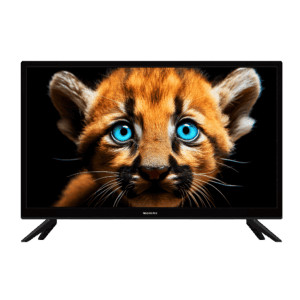 Телевизор TopDevice 24" TDTV24BS01HBK черный 1