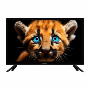 Телевизор TopDevice 24" TDTV24BS01HBK черный 1