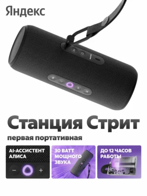 Умная колонка ЯНДЕКС Стрит Алиса YNDX-00030BLK черный 30W 2.0 BT/Wi-Fi 10м 3300mAh 1