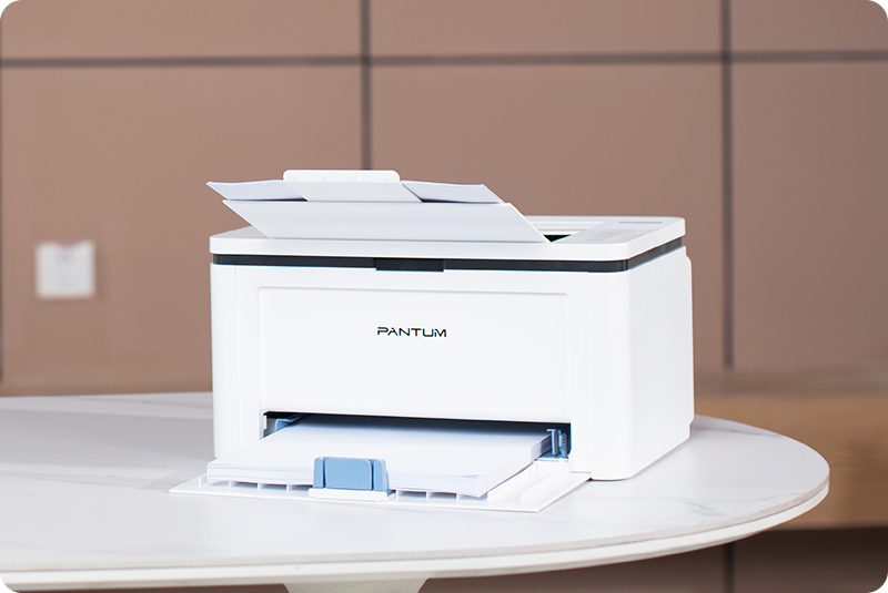 Принтер лазерный Pantum BP2300W 4