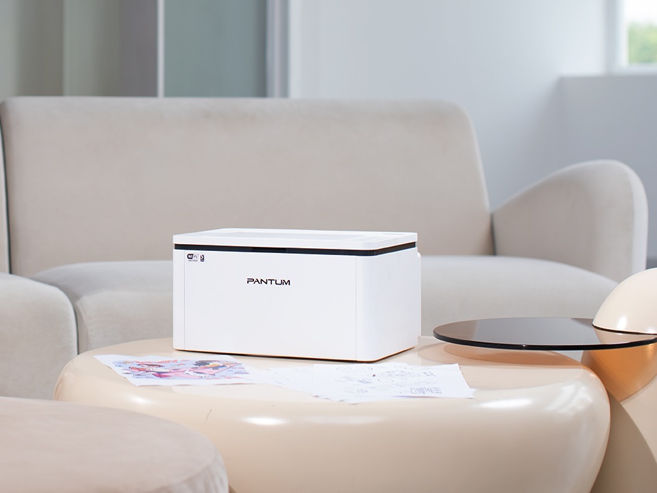 Принтер лазерный Pantum BP2300W 3