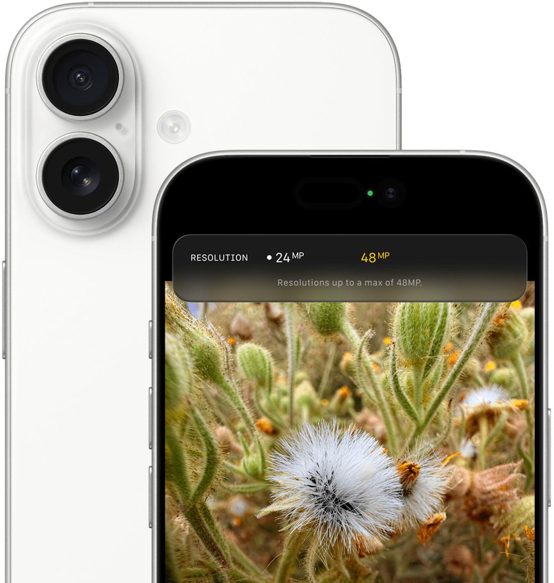 Смартфон Apple iPhone 17 256 ГБ, Dual nanoSIM+eSIM, black 2