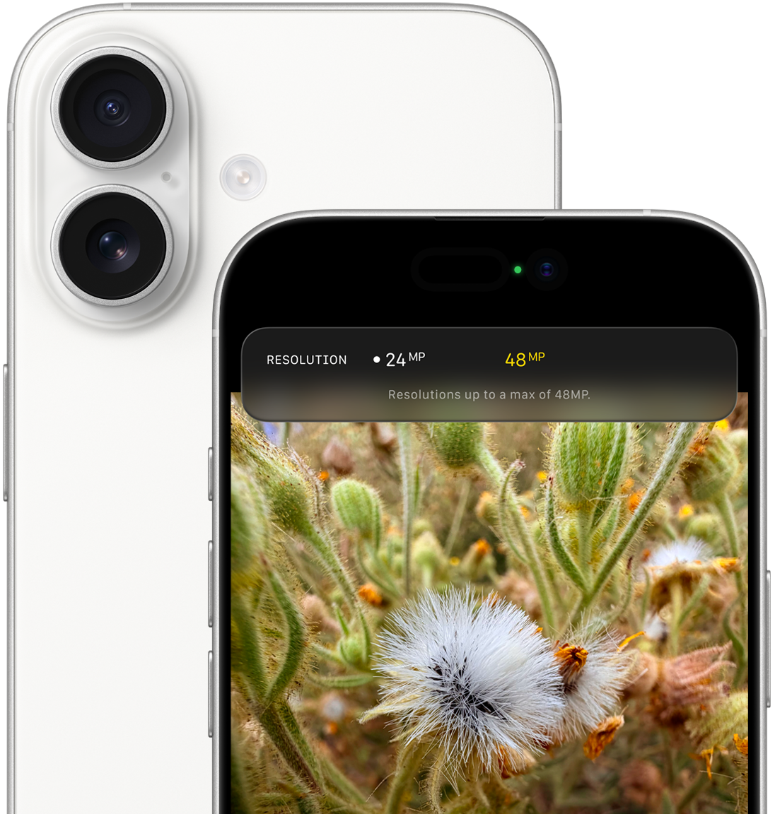 Смартфон Apple iPhone 17 256 ГБ, Dual nanoSIM+eSIM, blue 2