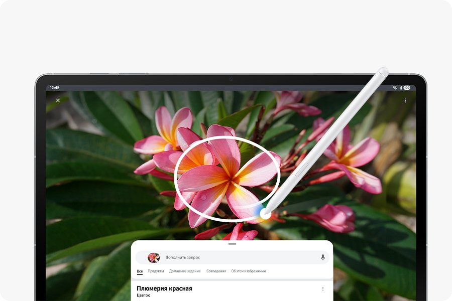 Планшет Samsung X626 Tab S10 FE Plus 13.1' 8/128GB 5G Gray 2