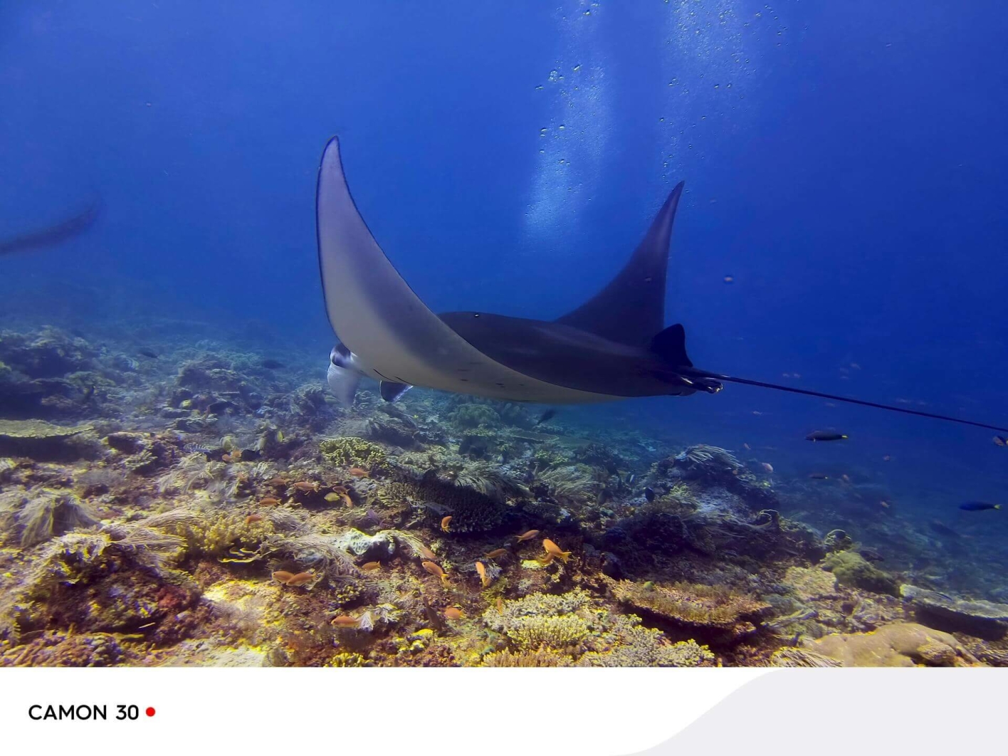 Смартфон TECNO Camon 30 8/256GB Uyuni Salt White 7