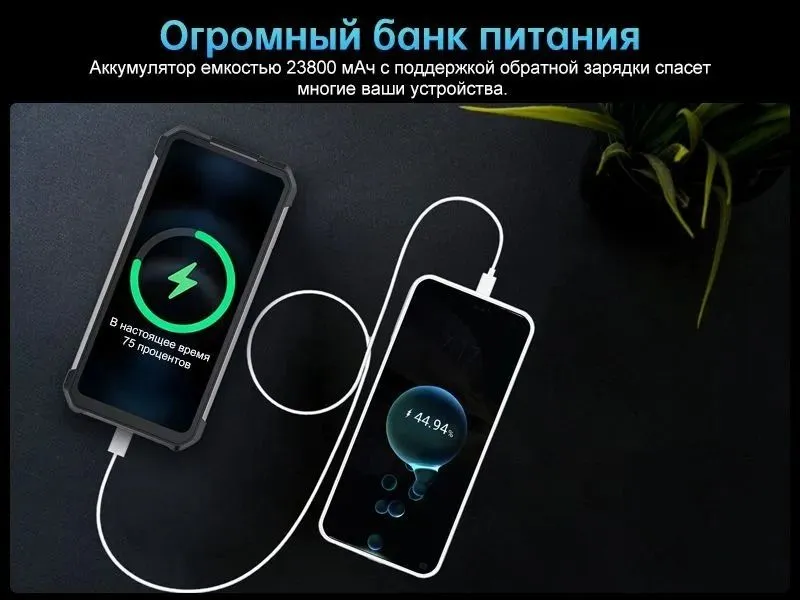 Смартфон Tank 3 Pro 16/512 Black 12