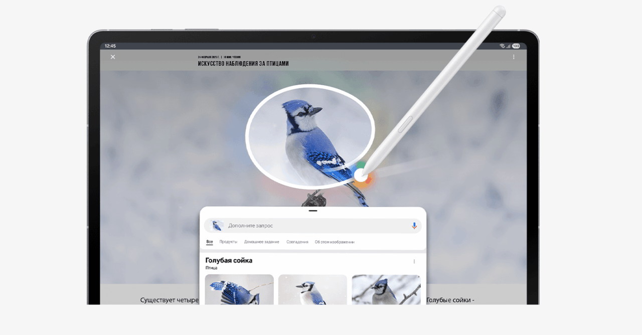 Планшет Samsung X626 Tab S10 FE Plus 13.1' 8/128GB 5G Gray 8