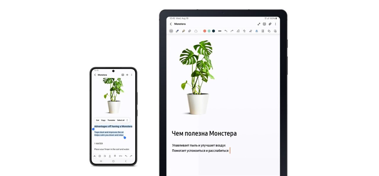 Планшет Samsung Galaxy Tab S6 Lite 4/64Gb 10.4' 2024 Wi-Fi (SM-P620) Серый 15