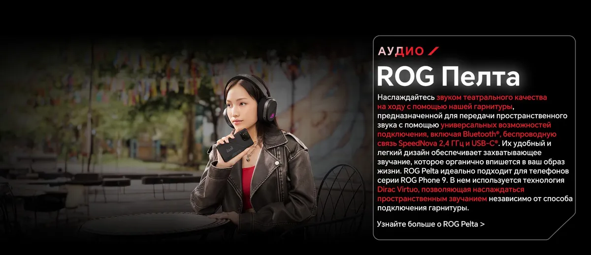 Смартфон Asus Rog Phone 9 FE 16/256Gb Black Global 31