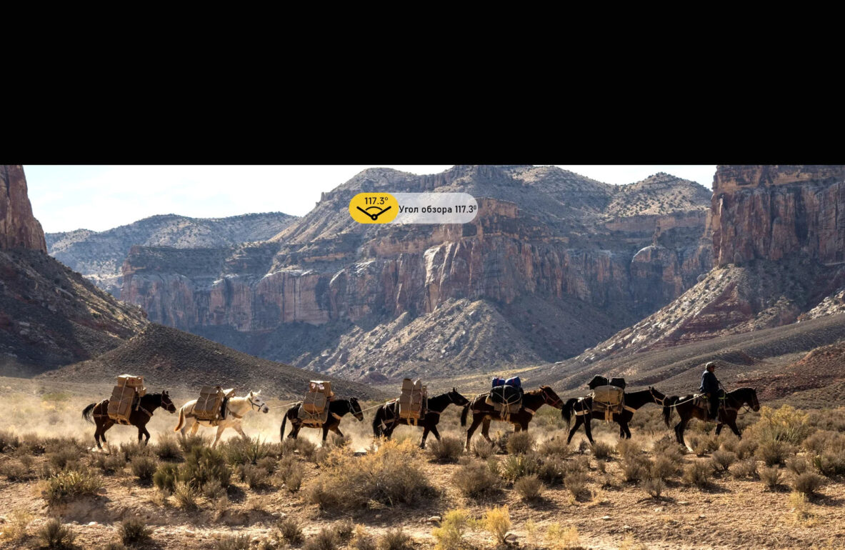 Смартфон Ulefone Armor 27 Pro12/256GB Black 11