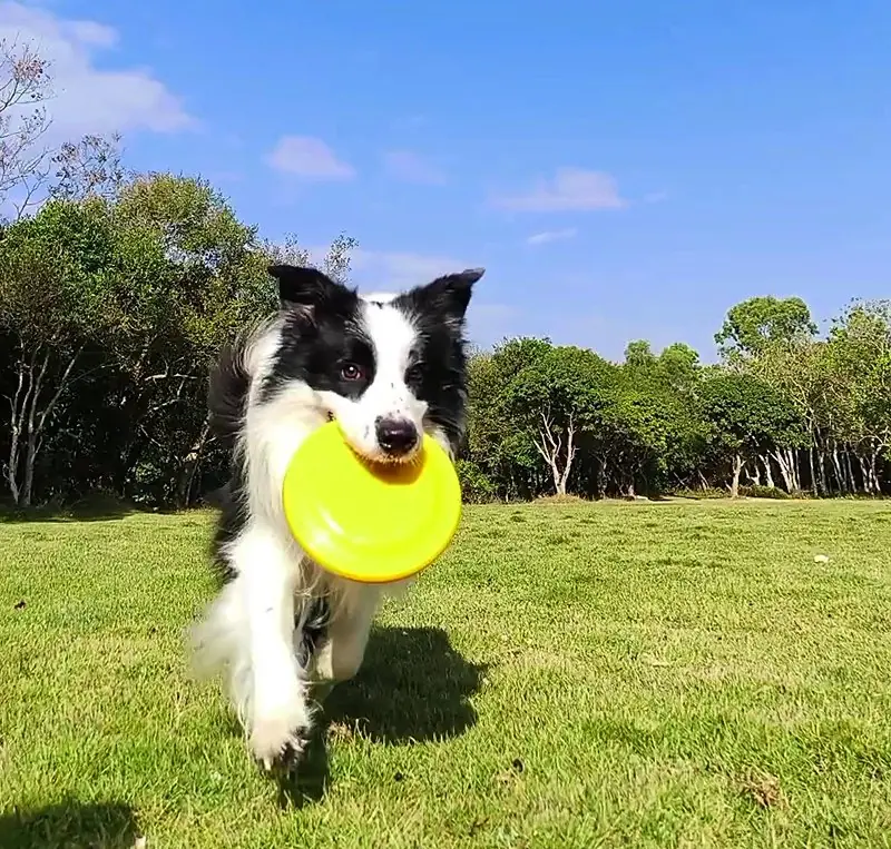 Смартфон TECNO Spark Go 3 4/128 Galaxy Blue 21