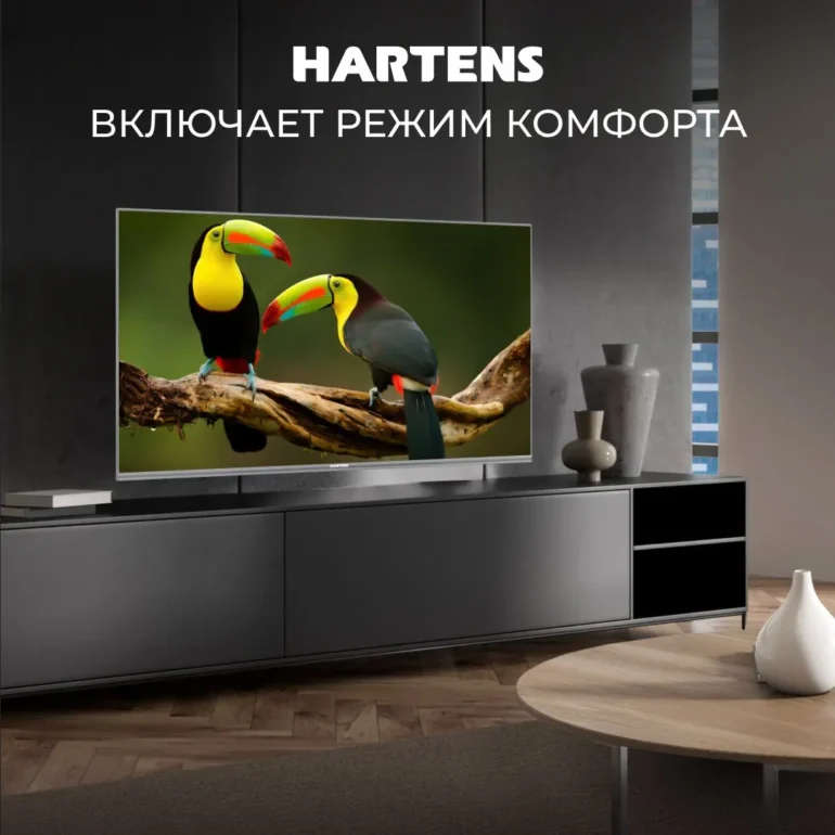 Телевизор Hartens HTS-43FHD11G-HC24, 43", Full HD, Smart TV 12 Hartens Телевизор HTS-43FHD11G-HC24 43" Full HD, черный #14