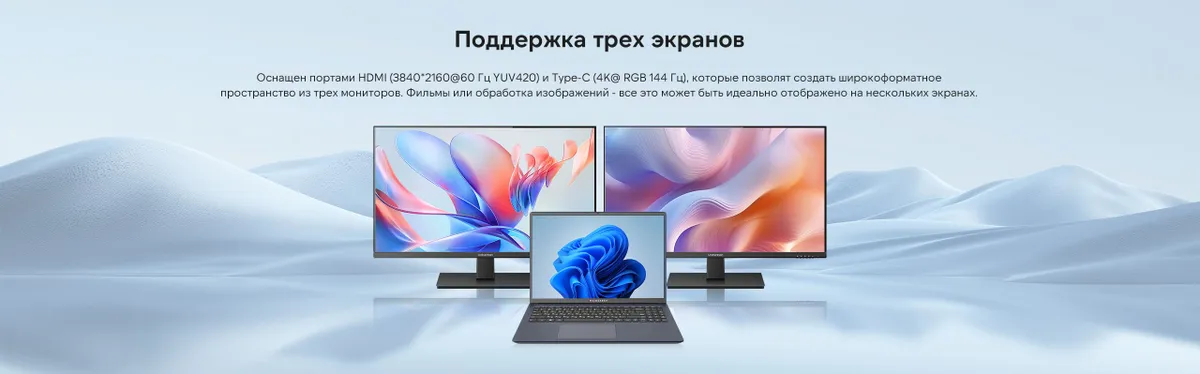 Ноутбук Maibenben M643 16" IPS, R3-4300U/8/512/Linux, синий 11