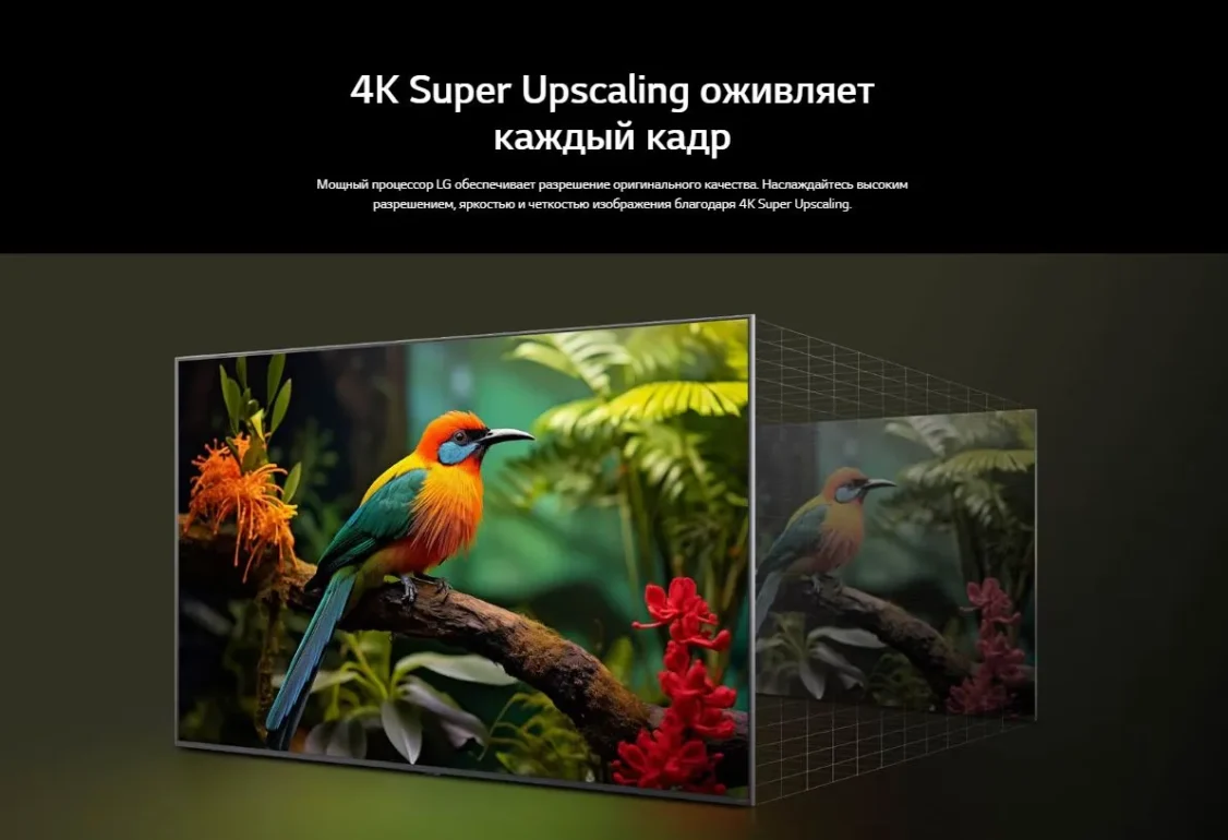 Телевизор LG 50QNED70A6A 5