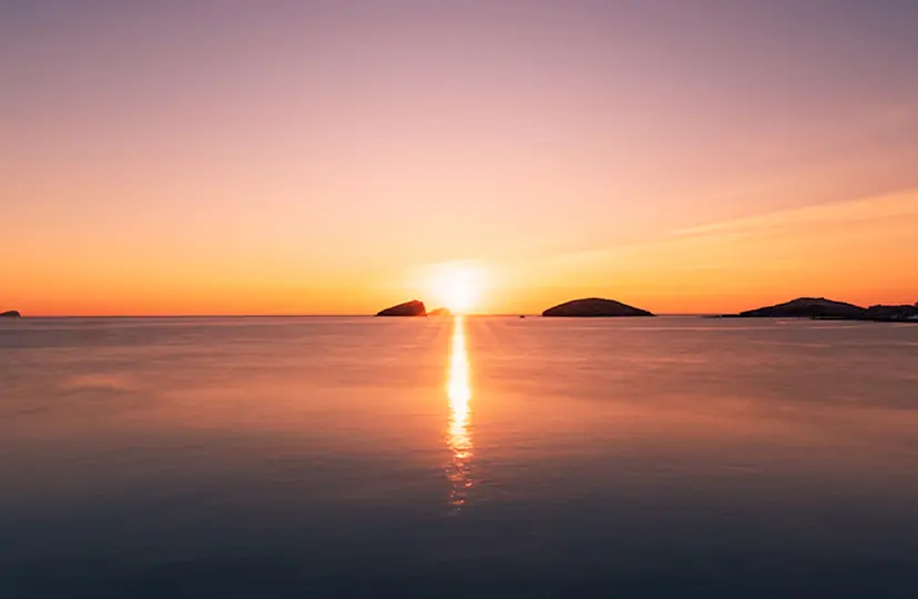 Смартфон Samsung Galaxy S26 Ultra 5G 12/256GB Cabalt Violet 18