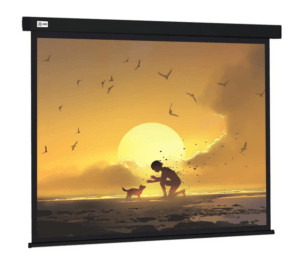 Экран для проектора Cactus 124.5x221см Wallscreen CS-PSW-124X221-BK 16:9 настен.-потолоч. рулон. чер 1