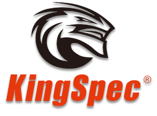 Kingspec
