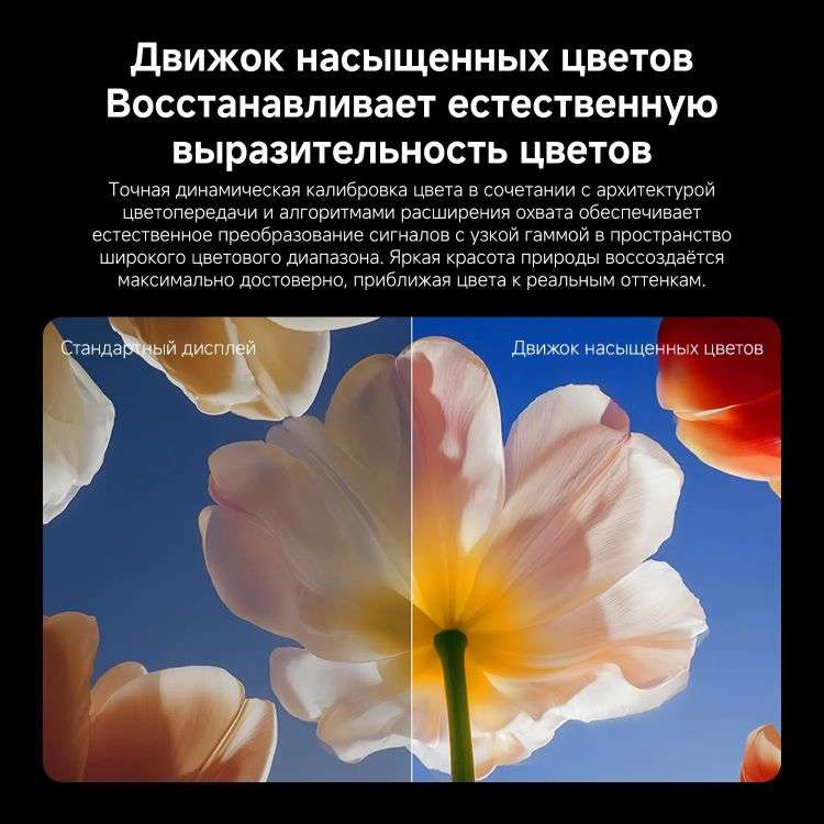 85" Телевизор Xiaomi TV S Mini LED 2026 9