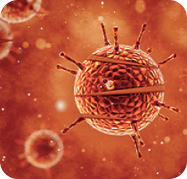 Viomi_Cross_Overview_16.png