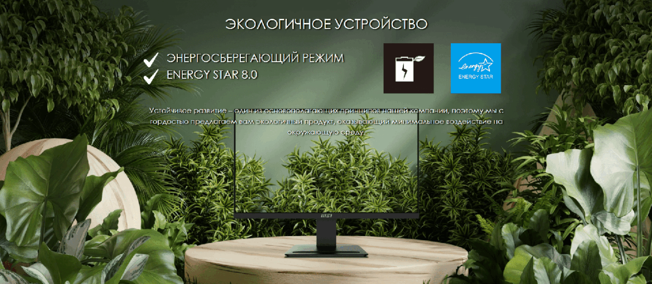 Монитор 23.8" MSI PRO MP2412 (100Hz), черный (1920x1080@100 Гц, VA, 1 мс, 4000 : 1, 250 Кд/м², 178°/ 17